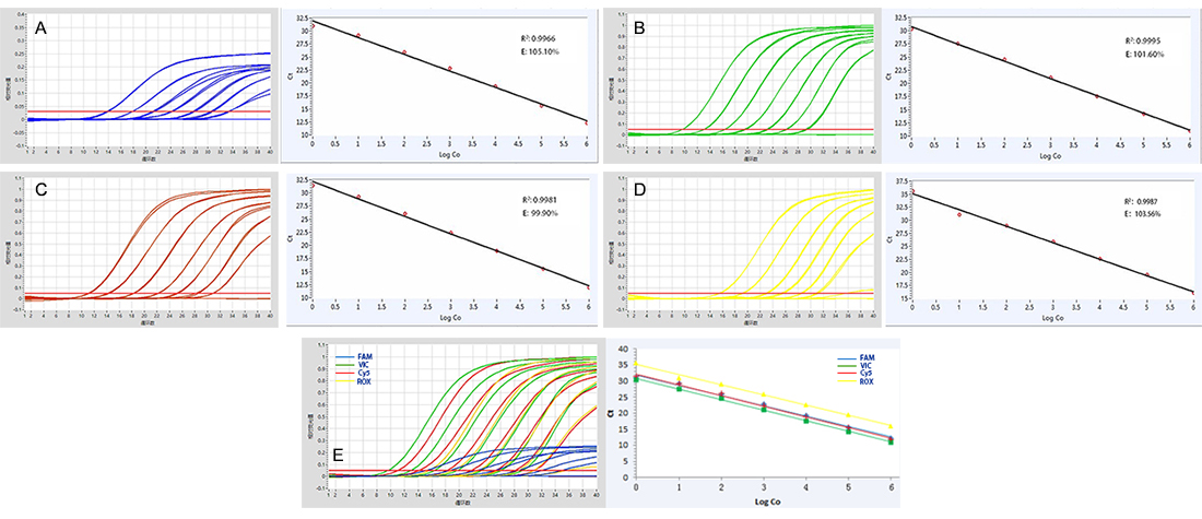 probe qPCR Mix