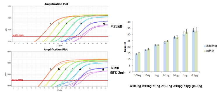 mttx qPCR Mix
