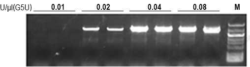 G5U超保真DNA聚合酶