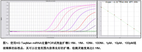 mirna定量PCR试剂盒 mirna定量PCR试剂盒