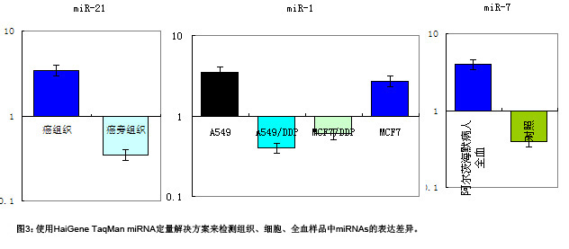 mirna定量PCR试剂盒 mirna定量PCR试剂盒